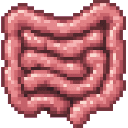 com_urgent_operation_organ_doctor_yx7qf4zn:intestine_human