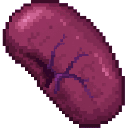 com_urgent_operation_organ_doctor_yx7qf4zn:spleen_human