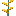 swift:goldfrond
