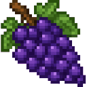 com_vines_and_vintages_kh7uppou:concord_grapes