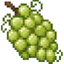 com_vines_and_vintages_kh7uppou:muscat_grapes
