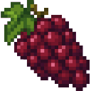 com_vines_and_vintages_kh7uppou:pinot_grapes