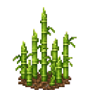 com_pea_garden_defense_2kuabcyn:bamboo_shoots