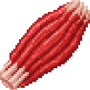 com_urgent_operation_organ_doctor_yx7qf4zn:muscle_human