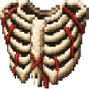 com_urgent_operation_organ_doctor_yx7qf4zn:rib_cage_chestplate
