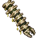 com_urgent_operation_organ_doctor_yx7qf4zn:spine_rotten