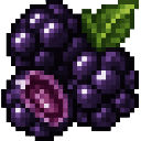 com_mine_arts_online_pikmrvgv:blackberry