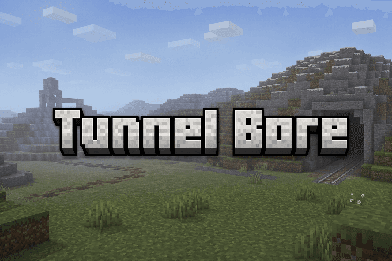 Tunnel Bore cover image