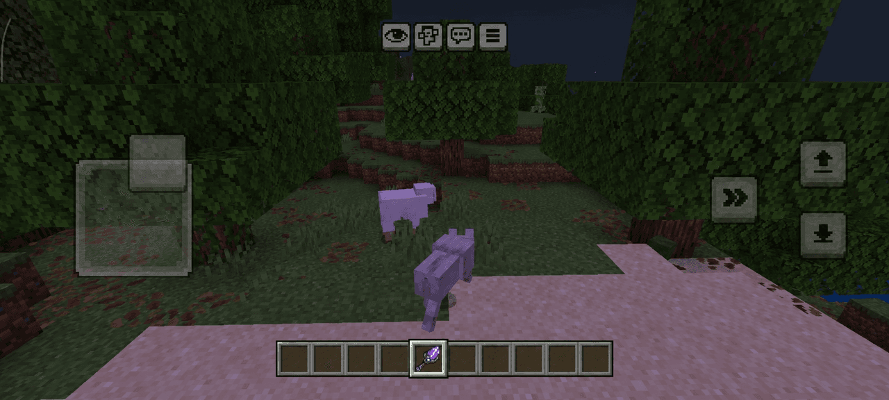Morph Bedrock cover image