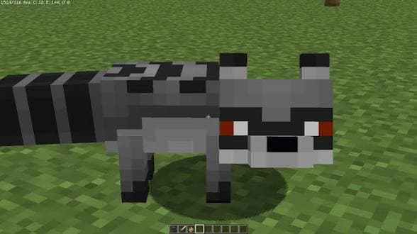 Raccoon Lootwolf – image 1