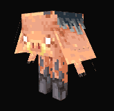 The Trotter – image 1