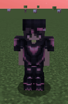 Midnight Rose Cat Armor – image 1