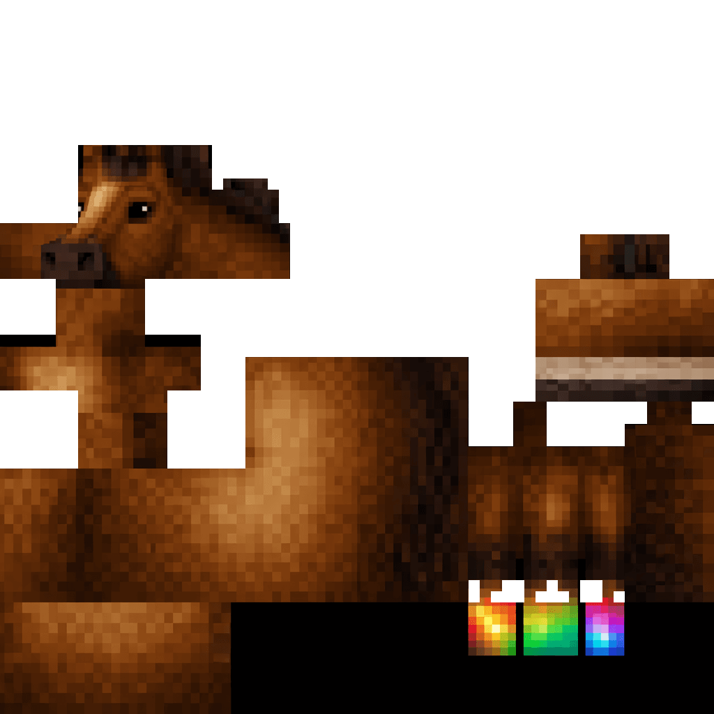 Rainbow Shoe Horse cover image