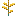 the-swift-b5snjbtd:goldfrond