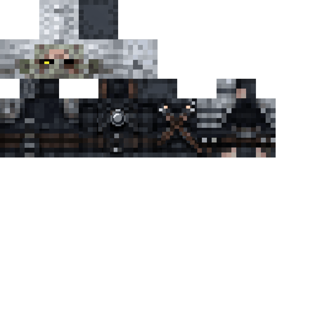 Wandering Witcher cover image