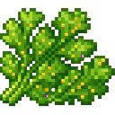 verdant-hivecraft-tcpsxr6q:bee_cilantro