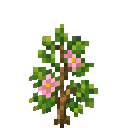 verdant-hivecraft-tcpsxr6q:blossoming_honeywood_sapling