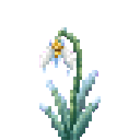 verdant-hivecraft-tcpsxr6q:frost_nectar_snowdrop