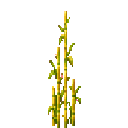 verdant-hivecraft-tcpsxr6q:hive_reed