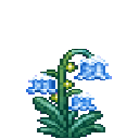 verdant-hivecraft-tcpsxr6q:icecap_bluebell