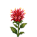 verdant-hivecraft-tcpsxr6q:luminous_bee_balm