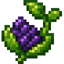 verdant-hivecraft-tcpsxr6q:mystic_chia