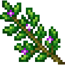 verdant-hivecraft-tcpsxr6q:mystic_thyme