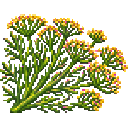 verdant-hivecraft-tcpsxr6q:pollen_dill
