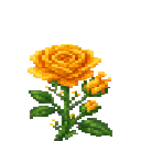 verdant-hivecraft-tcpsxr6q:royal_amber_rose