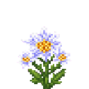 verdant-hivecraft-tcpsxr6q:snowcomb_aster
