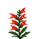verdant-hivecraft-tcpsxr6q:stinger_snapdragon