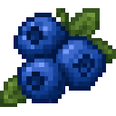 harvest-table-mgkyf7sw:blueberry