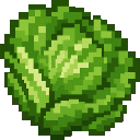 harvest-table-mgkyf7sw:lettuce