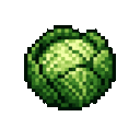 cabbage-food-36zebanr:cabbage_food_36zebanr