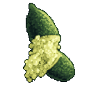 citrus-pearl-lime-apvljqzh:citrus_pearl_lime_apvljqzh