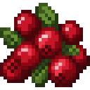 falling-fruit-fields-bgndw67f:cranberry