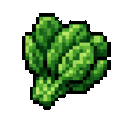spinach-food-cdqbh2jy:spinach_food_cdqbh2jy
