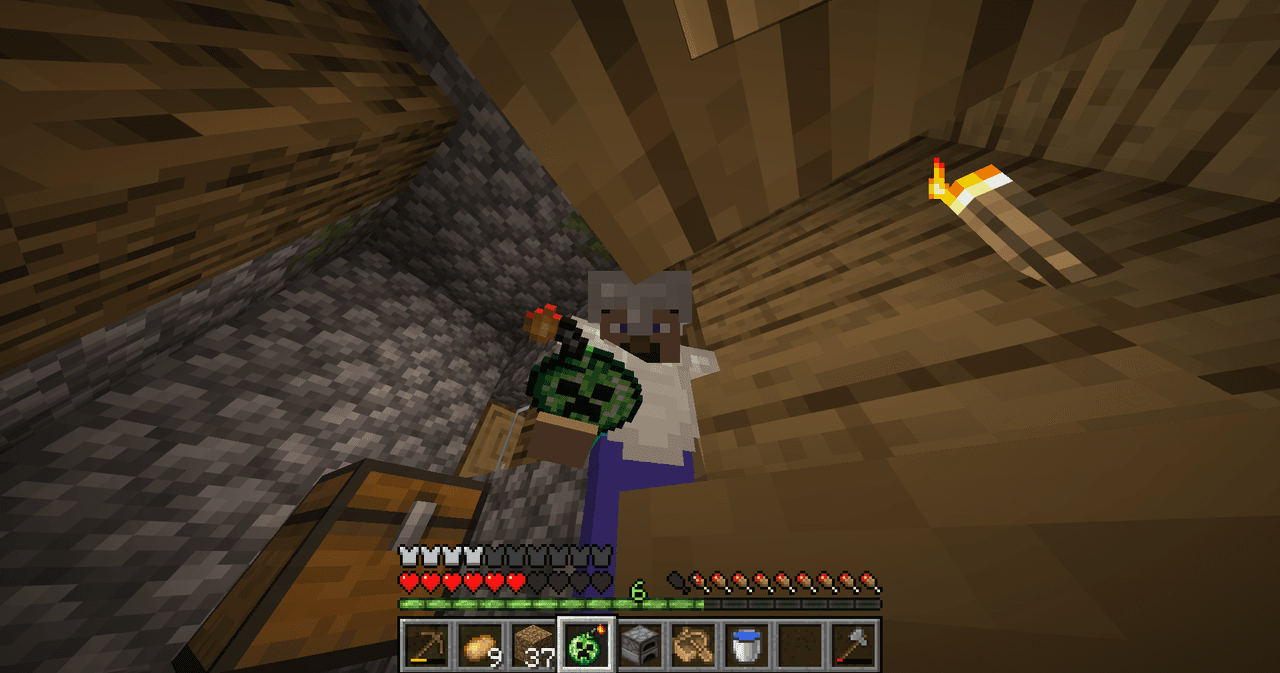 Creeper Bomb – image 1