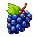 oregon-grape-food-oifgd2ew:oregon_grape_food_oifgd2ew