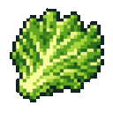crisp-lettuce-6vf55ax4:crisp_lettuce_6vf55ax4