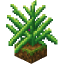 Idle Fern Block cover image