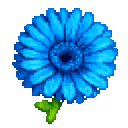 felicia-blue-daisy-23qsjs2p:felicia_blue_daisy_23qsjs2p