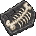 fossilborn-park-pvprmqae:fossil_slab_display
