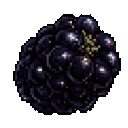 midnight-blackberry-6nvfio5u:midnight_blackberry_6nvfio5u