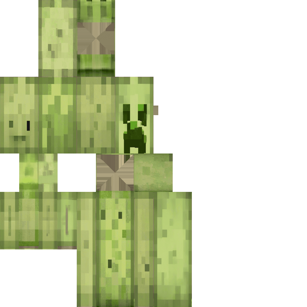 Zombie Creeper Summoner - media 2
