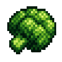 broccoli-round-head-5fanvmlc:broccoli_round_head_5fanvmlc