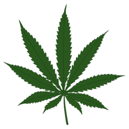 reality-check-mod-kusqhvgp:weed