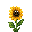 garden-defense-qto5ejid:sunflower