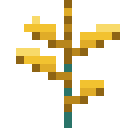 Goldfrond