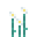 Hushbloom